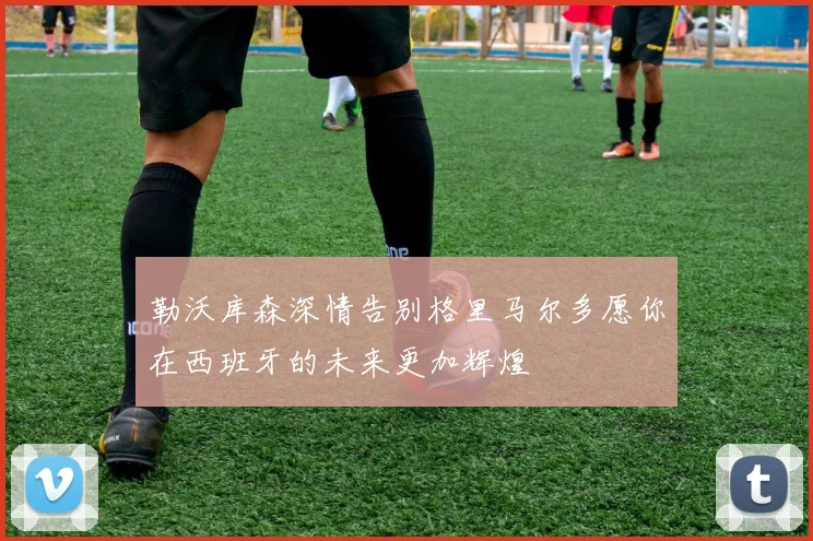勒沃库森深情告别格里马尔多愿你在西班牙的未来更加辉煌