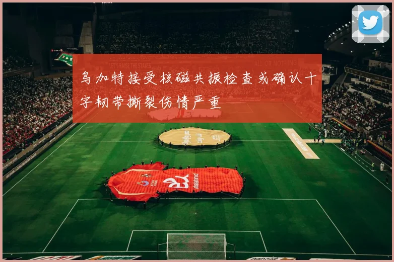乌加特接受核磁共振检查或确认十字韧带撕裂伤情严重