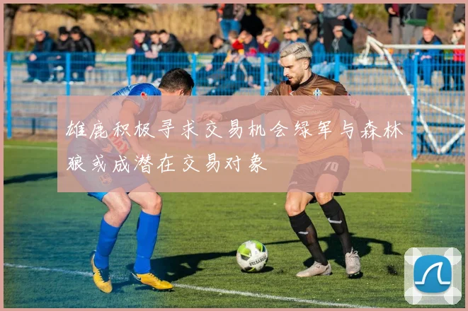 雄鹿积极寻求交易机会绿军与森林狼或成潜在交易对象